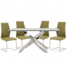 Anguilla Dining Table and 4 Olive Chairs