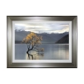 Undisturbed Framed Print