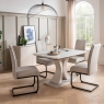 Dani Large Extending Dining Table - Greige2